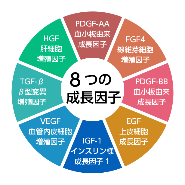 成長因子による修復促進